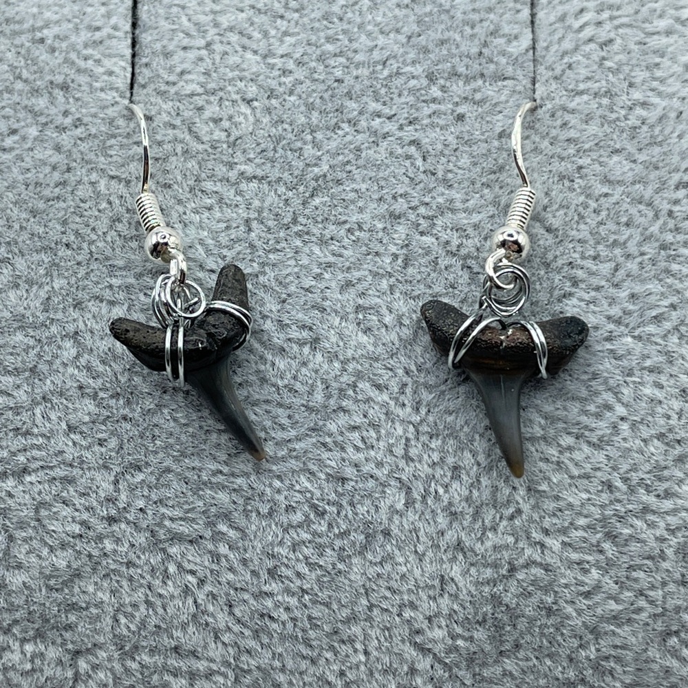 Handmade Sand Tiger Shark Tooth Earrings Wire-Wrapped w Teeth from Jupiter, FL